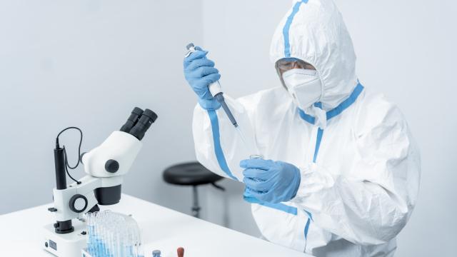 Covid-19'un kökeni araştırılacak: 200 binden fazla örnek toplandı