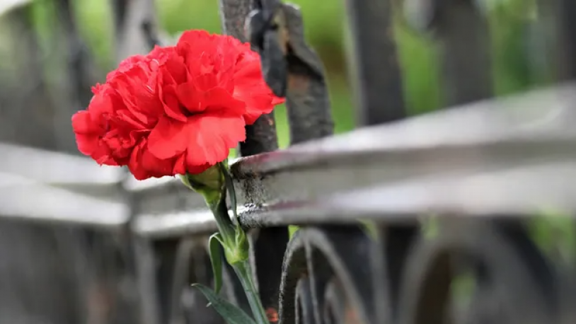 Ünlü gazeteci hayatını kaybetti