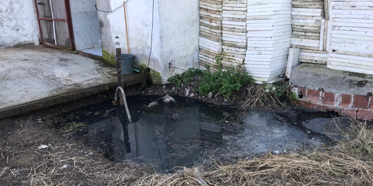 sadece 2 yaşındaydı