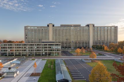 "Kişisel nedenlerden dolayı": Merkez Bankası Başkanı'ndan istifa kararı