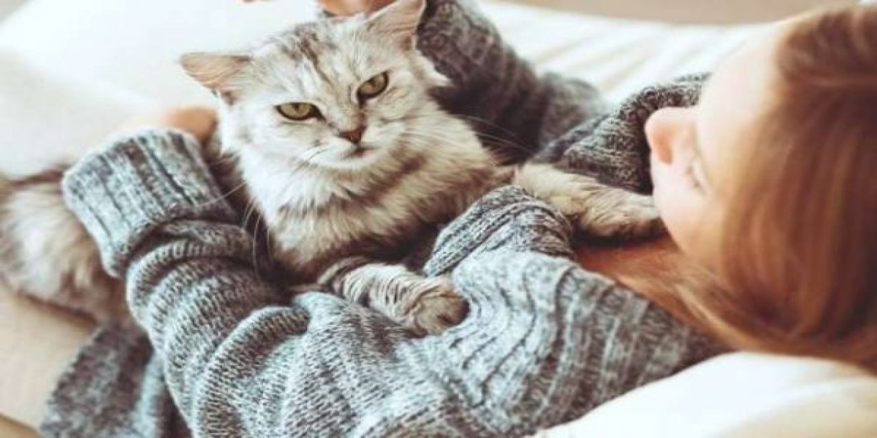 ‘Çiftler ayrılınca kediler kimde kalır’ sorusunun yanıtı için emsal dava