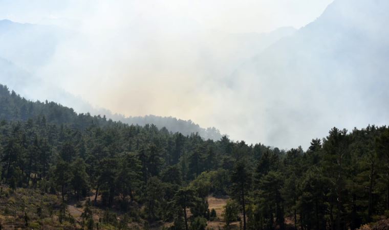Antalya'da orman yangını çıktı