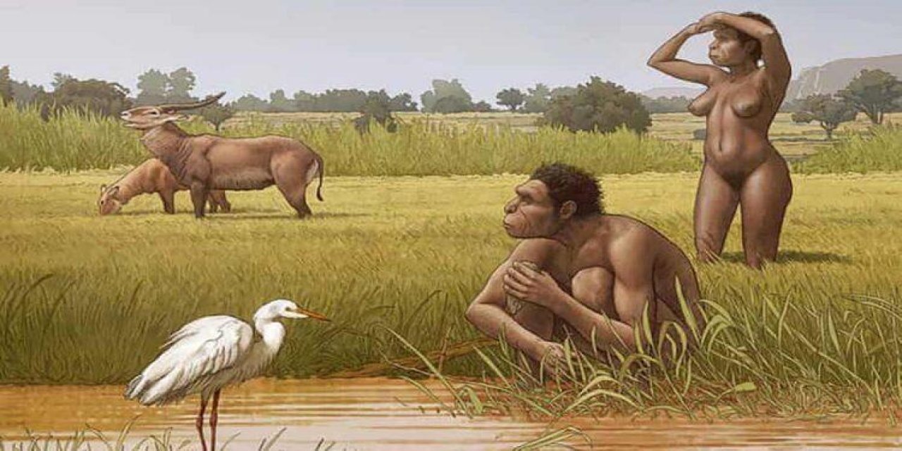 Yeni bir insan türü bulundu: “Homo bodoensis”