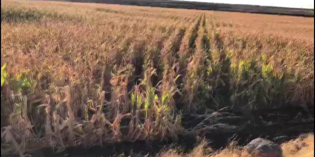 Çiftçi: "Üç özel firmaya mahkum edildik"