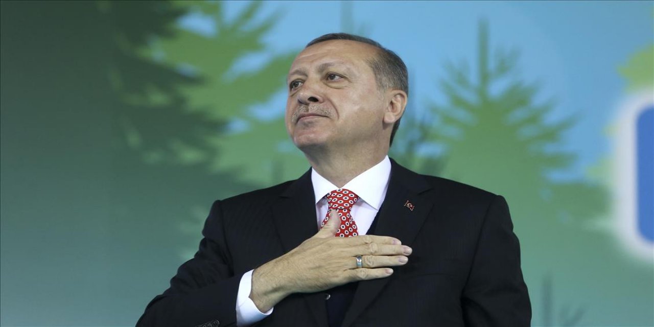 MASAK harekete geçmişti... Erdoğan, off-shore operasyonuna el koydu