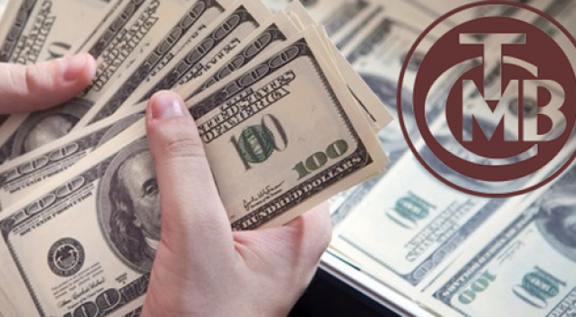 Ünlü ekonomistten kritik açıklamalar: "Bunlar biz beceriksiziz, Türk lirasını koruyamıyoruz demiyorlar da..."