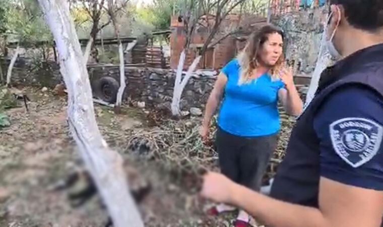 Bodrum'da dehşet! 20 kedi katledildi, 1 çocuk hastanelik oldu