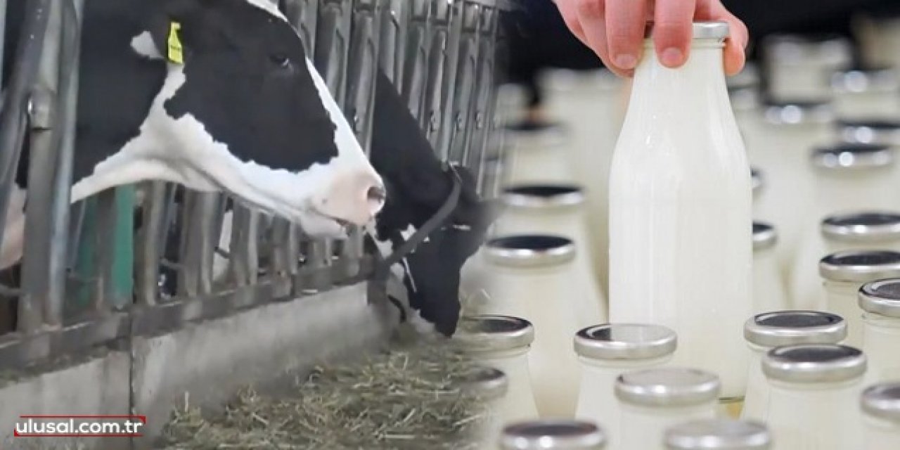 Süt üreticileri zam istiyor: "Fiyat 4 lira olmalı"
