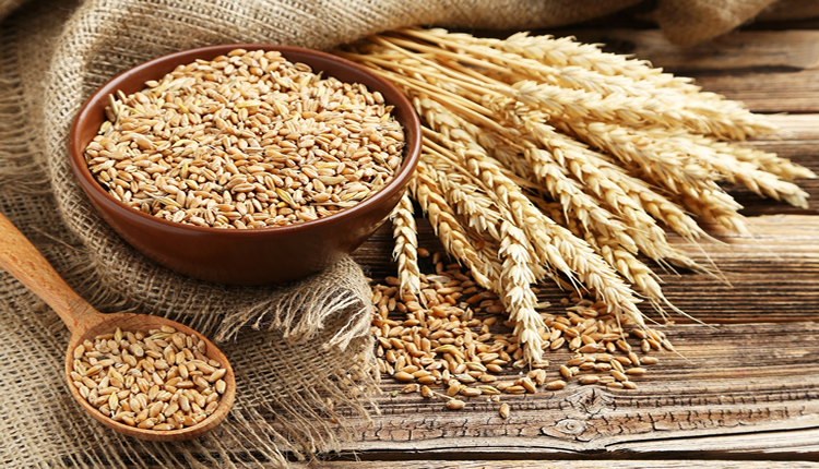 Temmuz 2011'den bu yana... Gıda fiyatları son 10 yılın zirvesinde