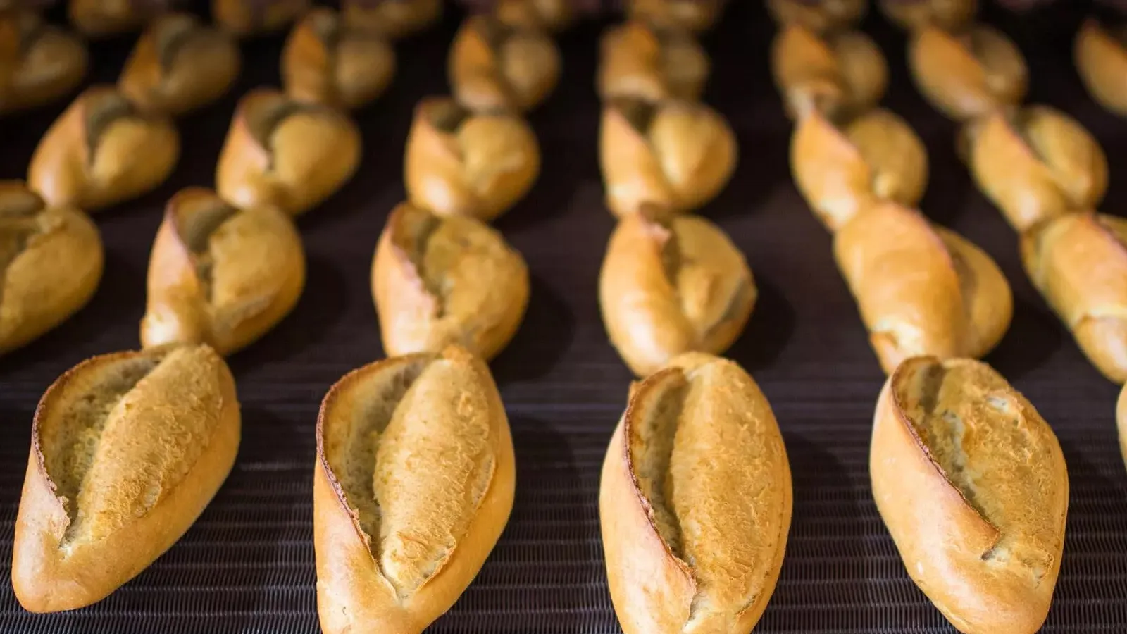 Genelge gönderildi: Ekmek fiyatı 3 lirayı bulabilir