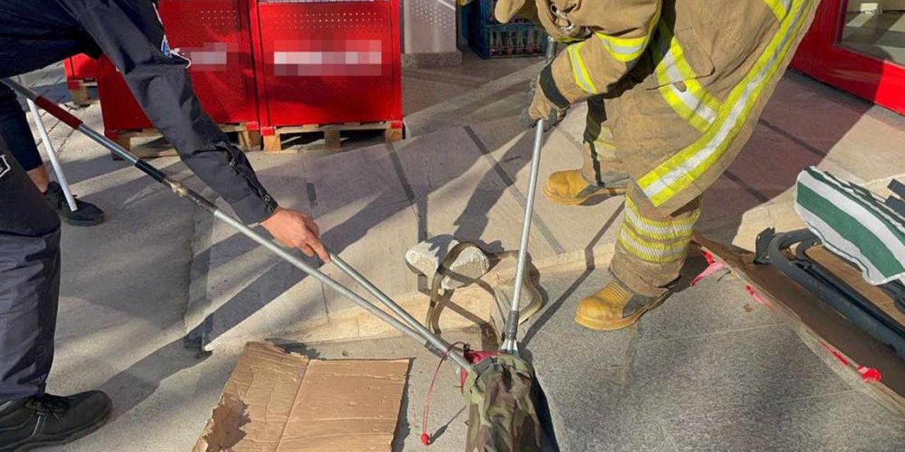 Süpermarkette görülen yılan korkuttu