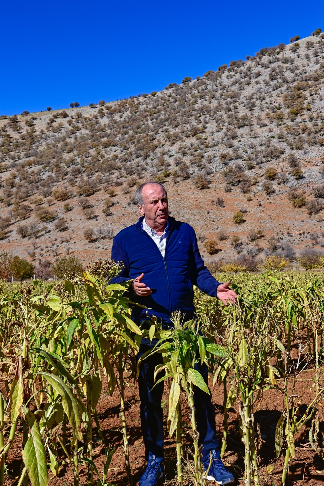 Muharrem İnce: “Bu güzelim topraklarda fakirin, fukaranın ekmeği olan tütünü yok edip, Amerikan tütününe milleti muhtaç ettiler”