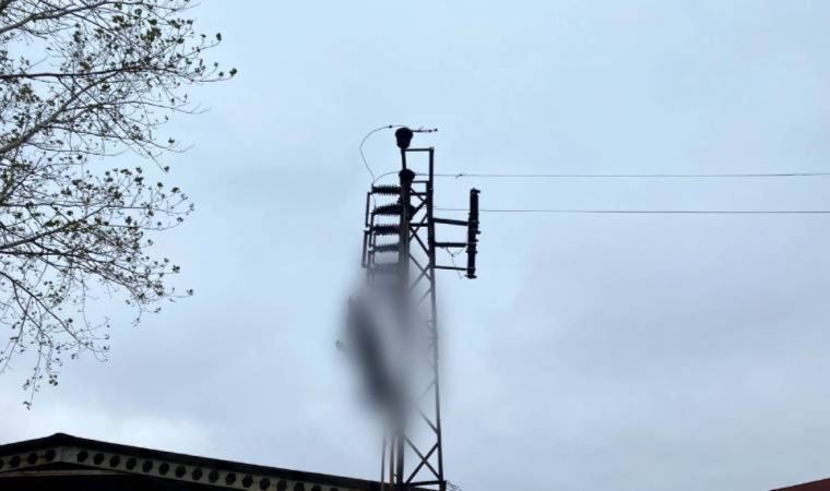 Elektrik direğinde asılı bir erkek cesedi bulundu