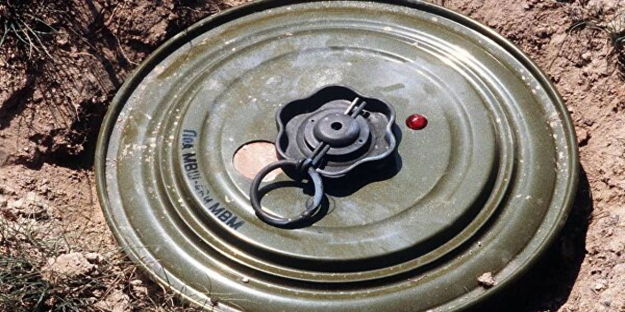 Mayın kurbanlarının sayısı geçen yıl yüzde 21 arttı