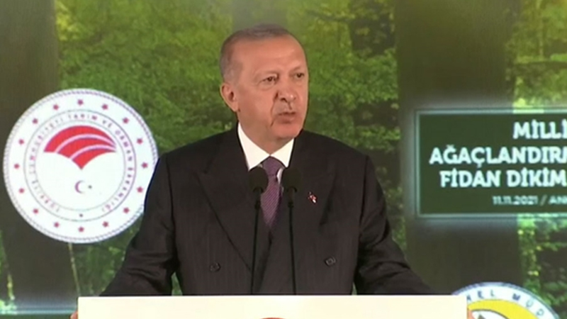 Erdoğan'dan 'tabiat' açıklaması: İkazlarını görüyor ve verdiği mesajları alıyoruz