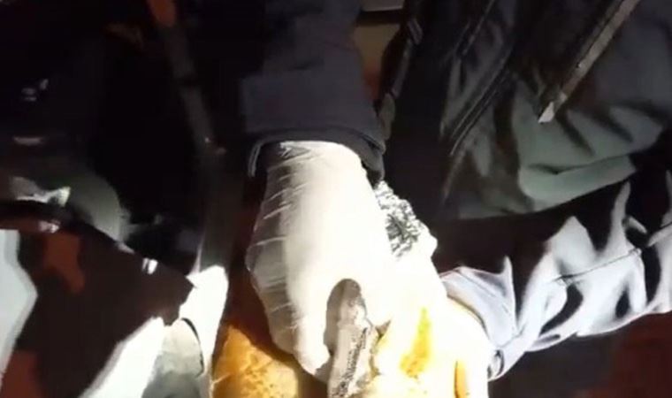 Ekmeğin içinden çıkanlar şoke etti