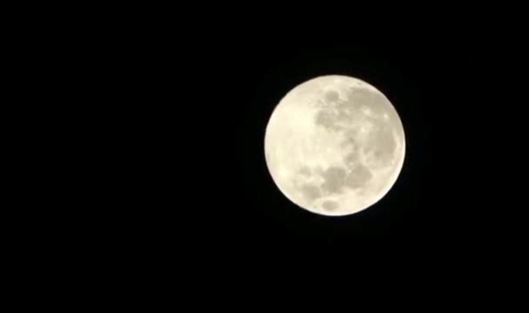 8 milyar insanı 100 bin yıl boyunca hayatta tutabilir