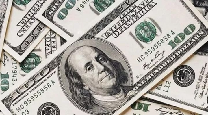 Bakan Lütfi Elvan konuştu; dolar ve euro fırladı