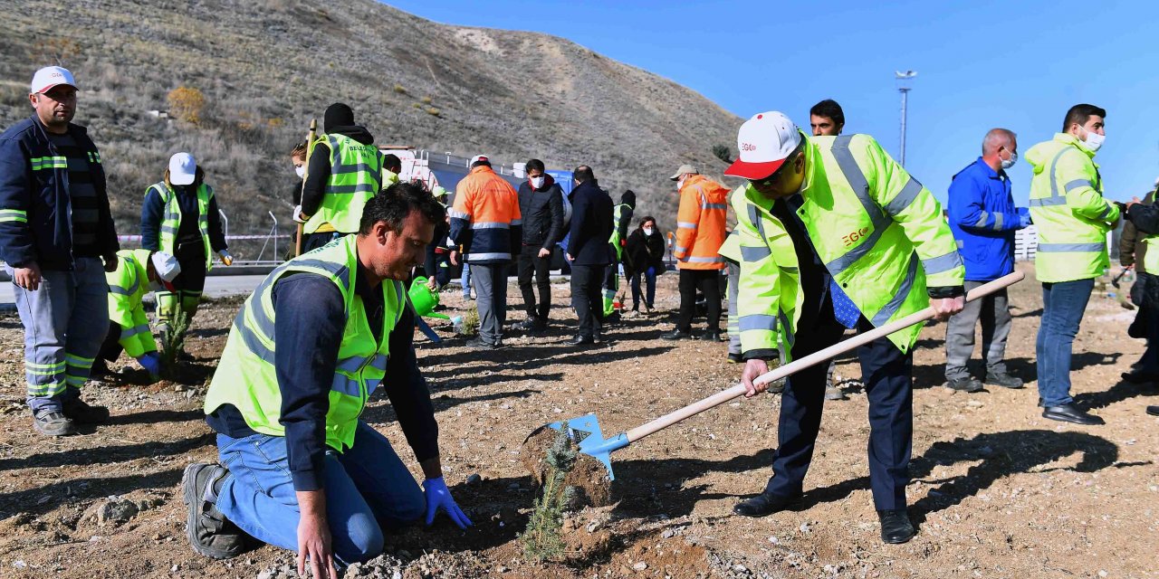 Ankara Büyükşehir Belediyesi  2 BİN 604 FİDANI TOPRAKLA BULUŞTURDU
