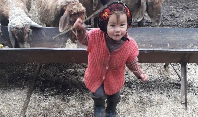 Kayboluşunun üzerinden 9 gün geçti! Müslüme'den haber yok