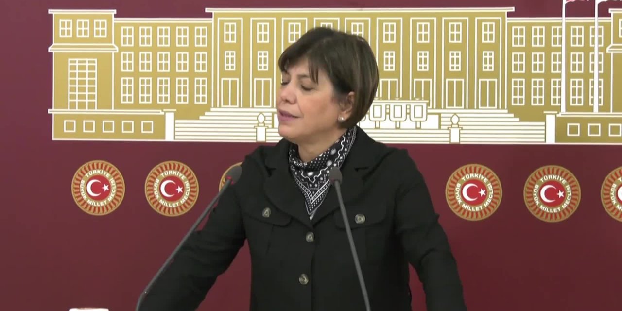 Meral Danış Beştaş, Merkez Bankası'nın faiz kararını eleştirdi: "Karar AKP grup toplantısında sufle olarak verildi"