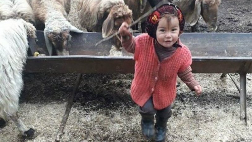 Günlerdir aranıyordu: Küçük Müslüme'den acı haber!