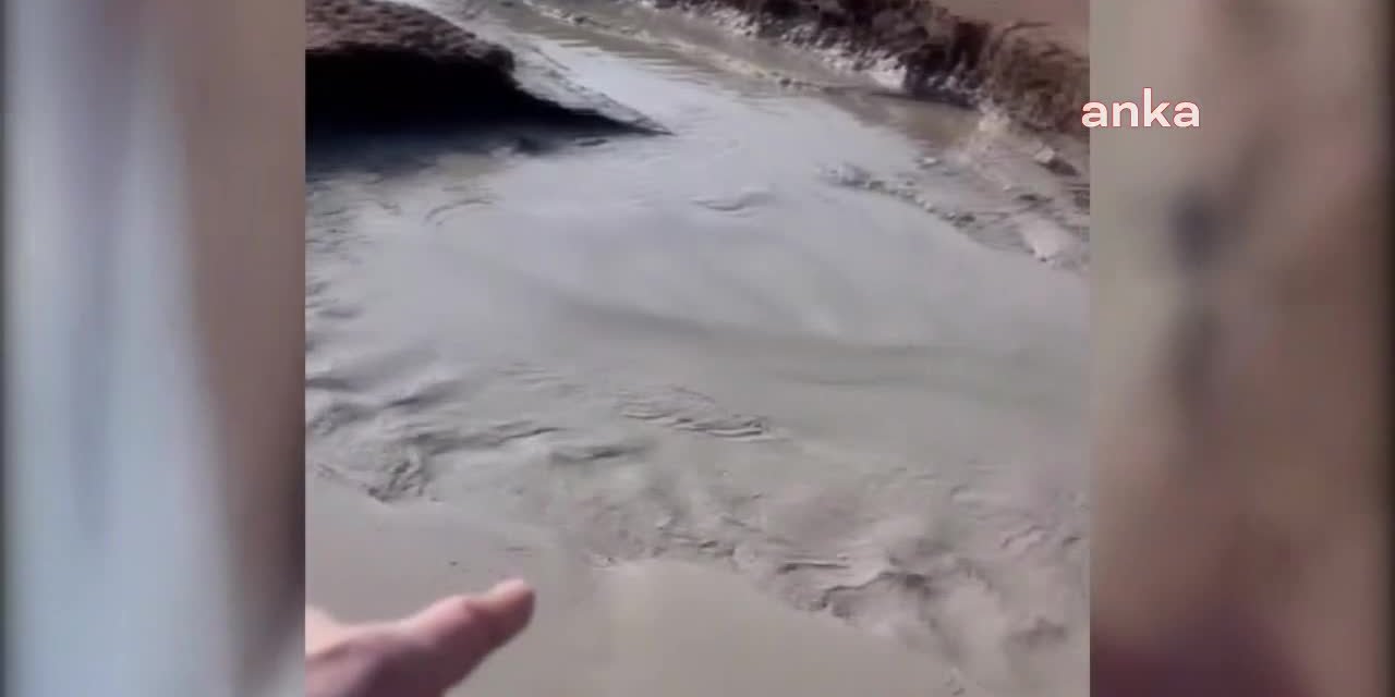 Sağlık ve Çevre Bakanlıkları numune aldı