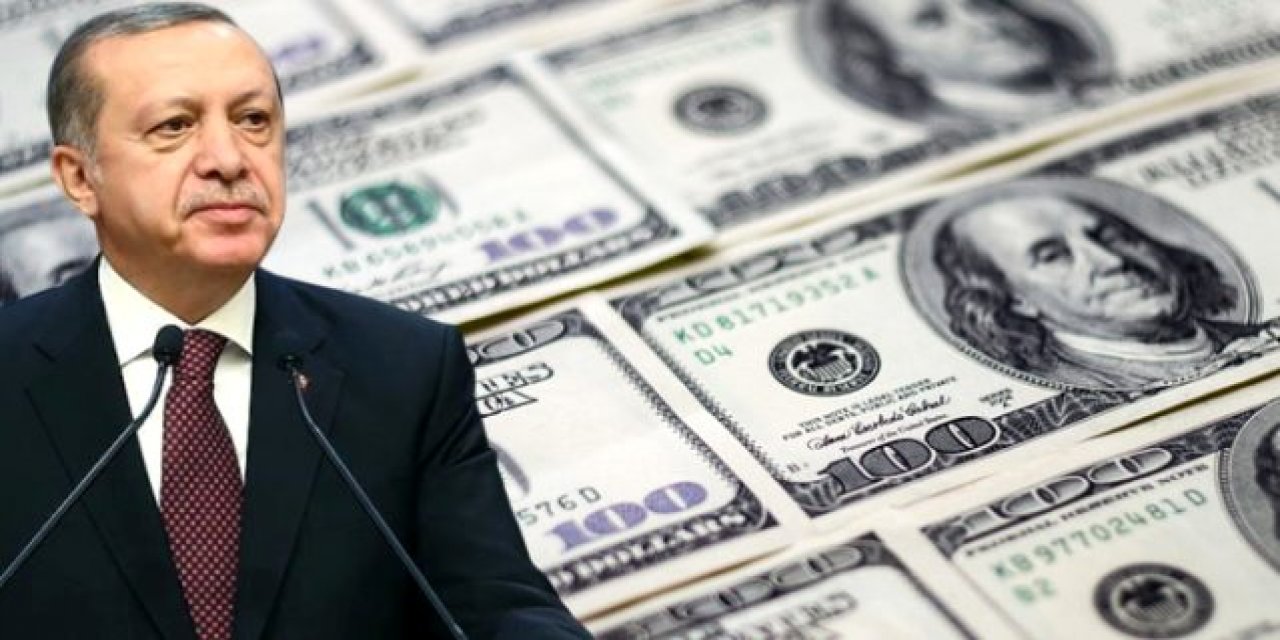 TL'nin tarihi düşüşü dış basında: "Erdoğan'ın görev süresi riske girdi"