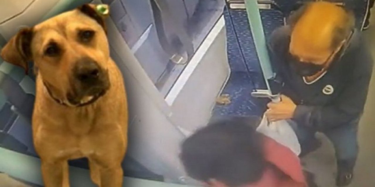 Boji'ye kurulan kumpasa tepki yağdı: "Siyasal İslam ne diye soranlara gösterirsiniz!"