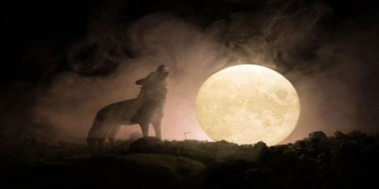 Fragmanı gündem oldu: Yeni Kurtlar Vadisi geliyor!