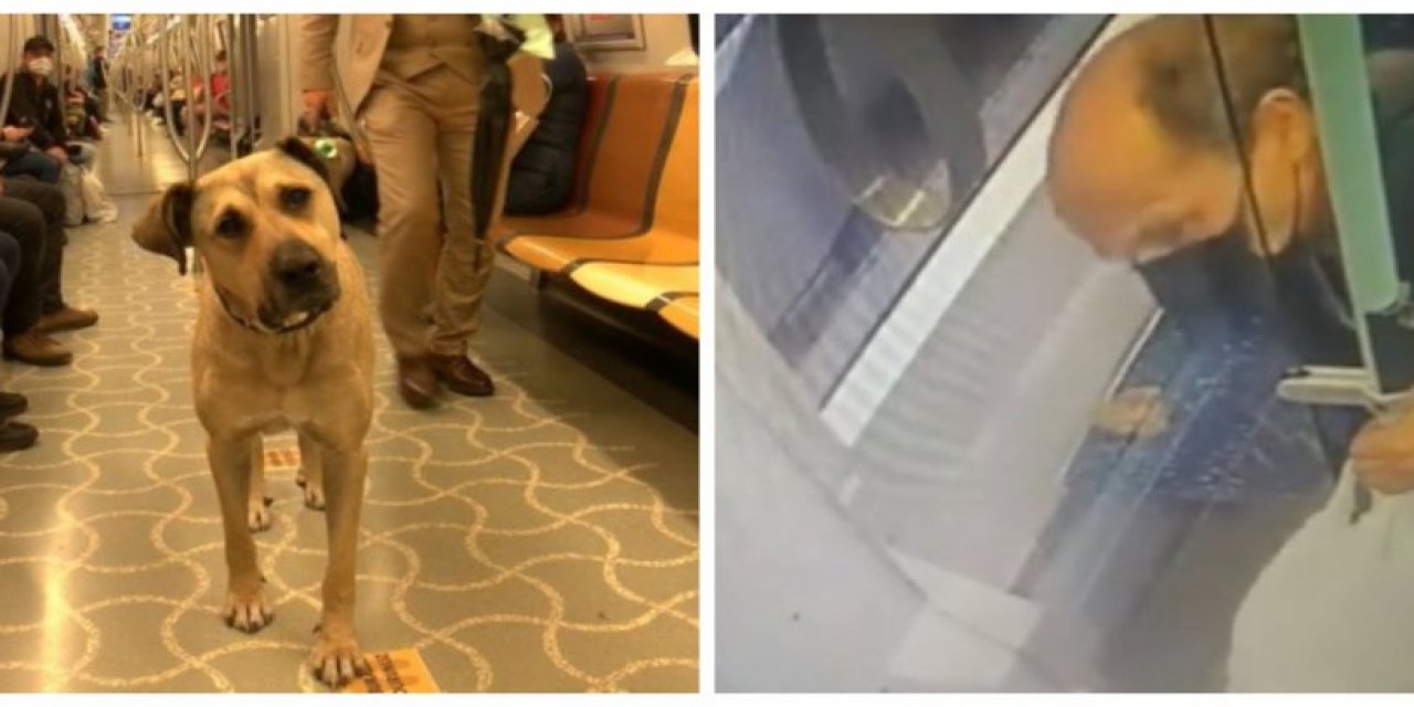 Boji'ye kumpas tartışmasında AKP'den ilk açıklama