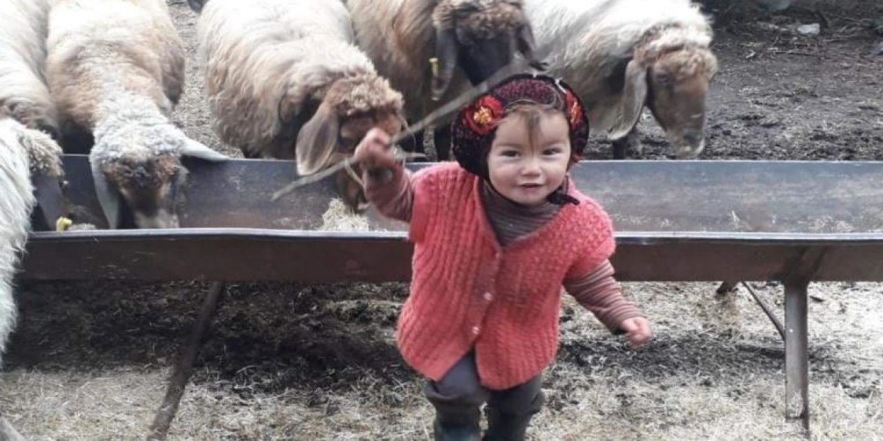 10 gün sonra cansız bedeni bulunmuştu: Yörük kızı Müslüme'nin ölümünde 1 tutuklama