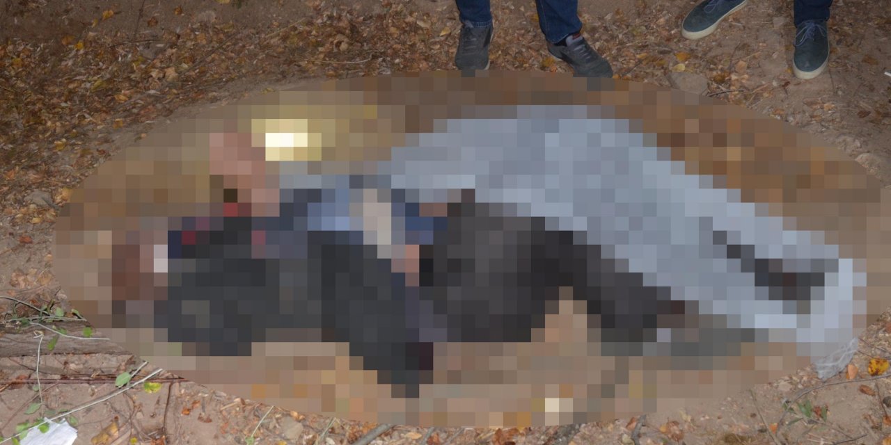 Odun keserken düşen yaşlı çiftçi, hayatını kaybetti
