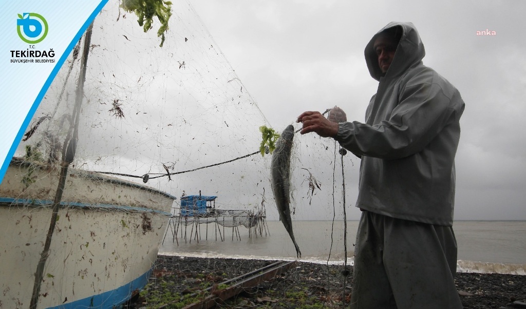 Tekirdağ Belediyesi'nden balıkçılara destek