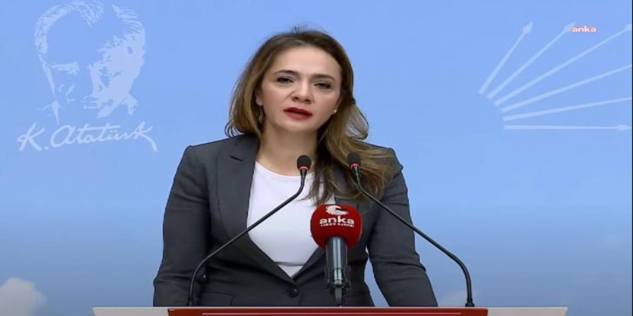 CHP'li Akkuş İlgezdi: "İktidar, dünyanın en büyük işsiz diş hekimleri ordusunu kuracak"