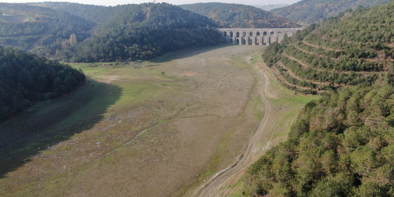 Alibeyköy Barajı’nda balıklar yüzüyordu, artık keçiler otluyor