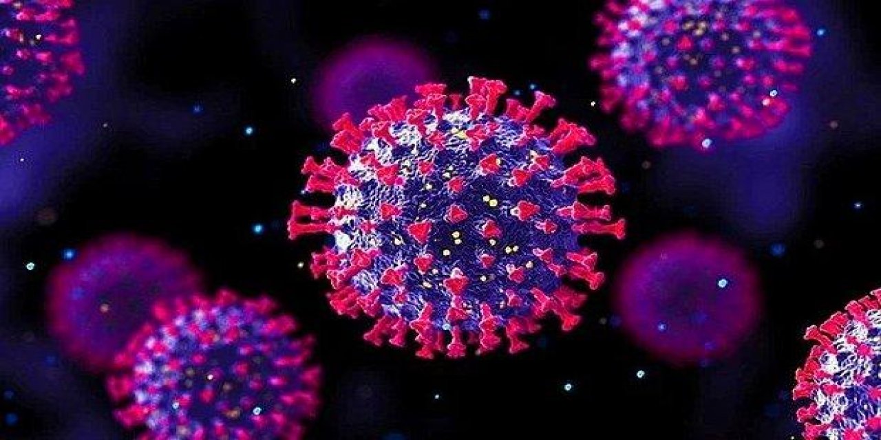 DSÖ'nün 'Omicron' kararı tartışma yarattı: "Nasıl güvenilir?"