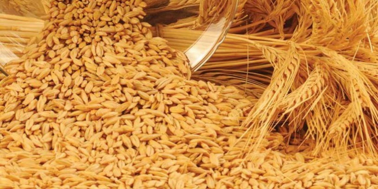 CHP'li vekil açıkladı: TMO'nun arpa ve buğday ithalatı ihalesinin bedeli 285 milyon dolar