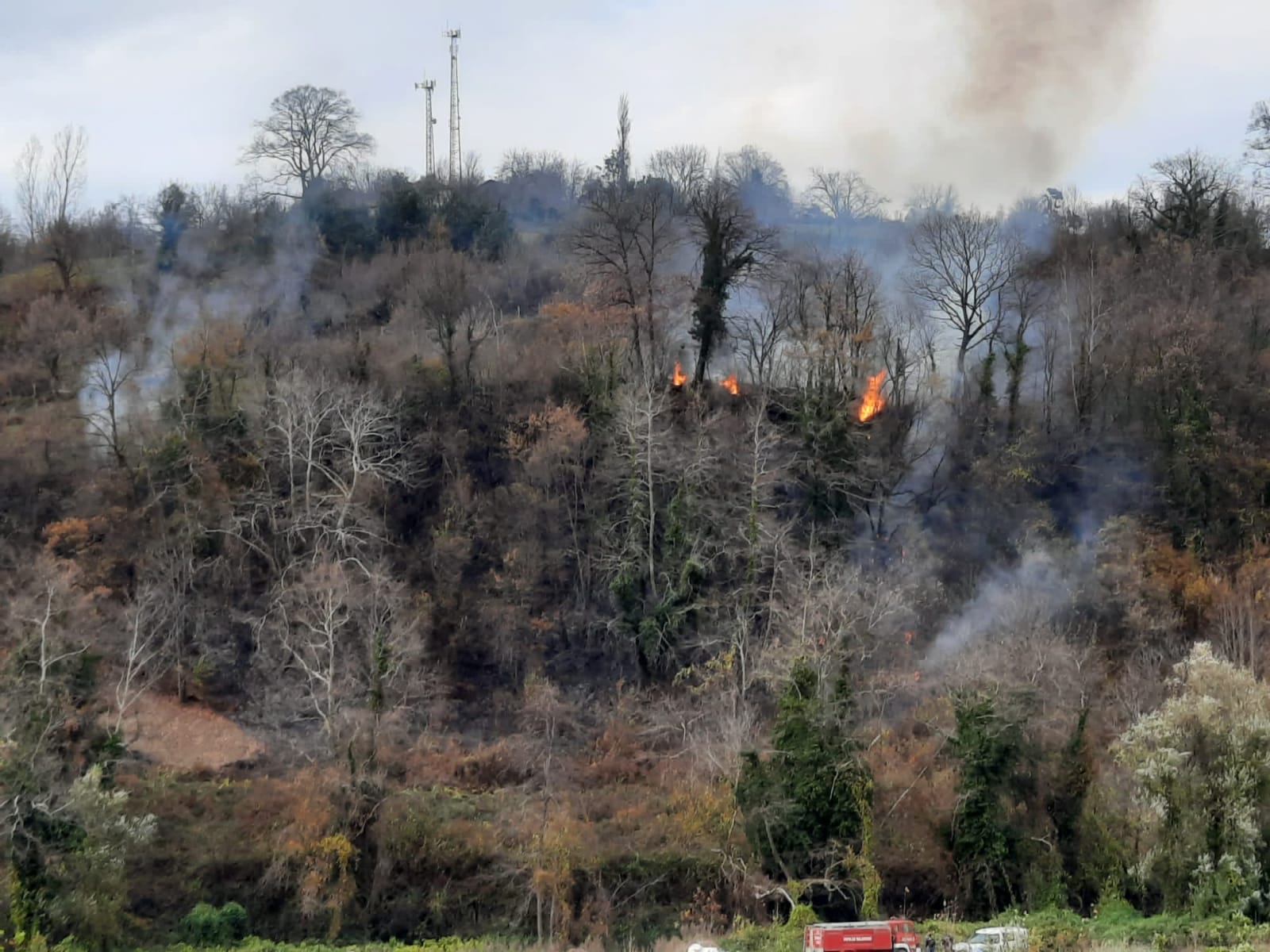 Sinop'ta orman yangını