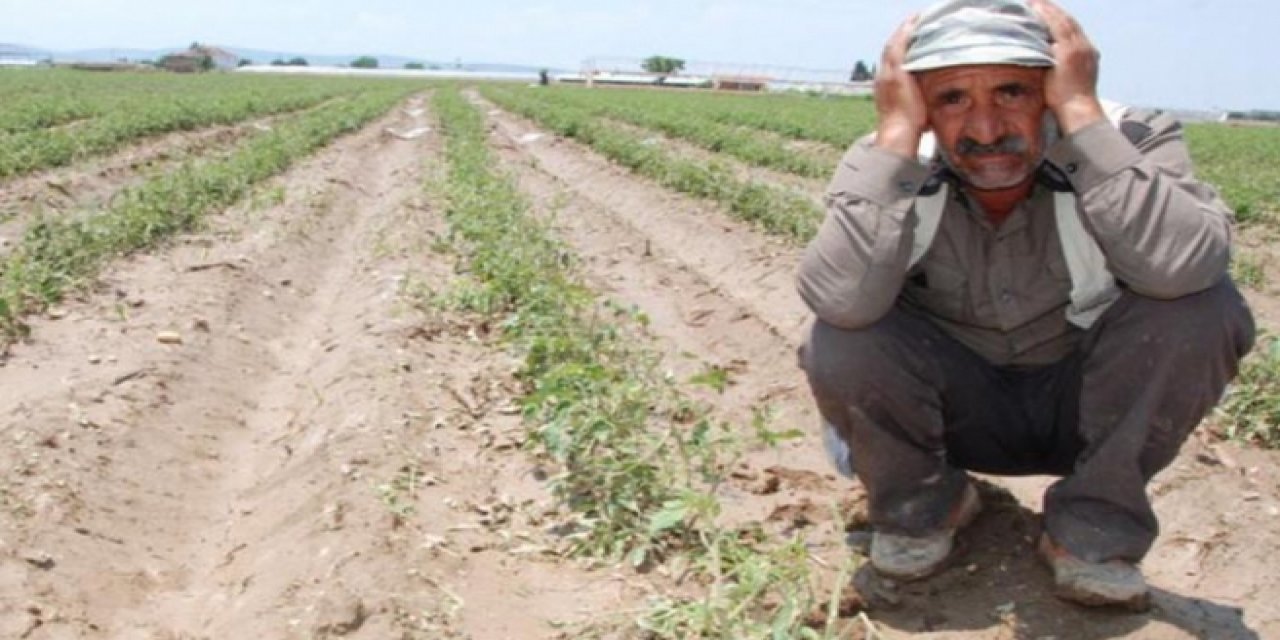Çaresiz kalan çiftçi, ne varsa satıyor