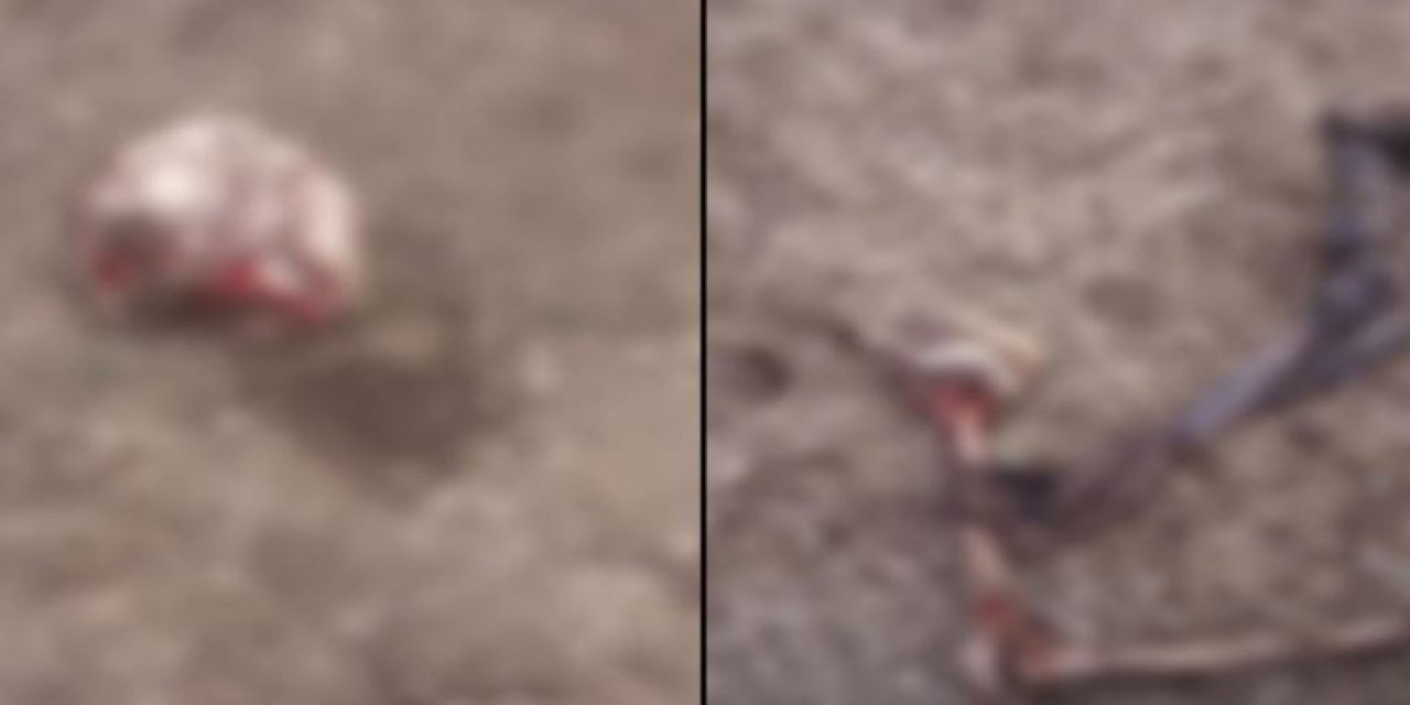 İran sınırında parçalanmış ceset bulundu: Bir göçmene ait olduğu düşünülüyor