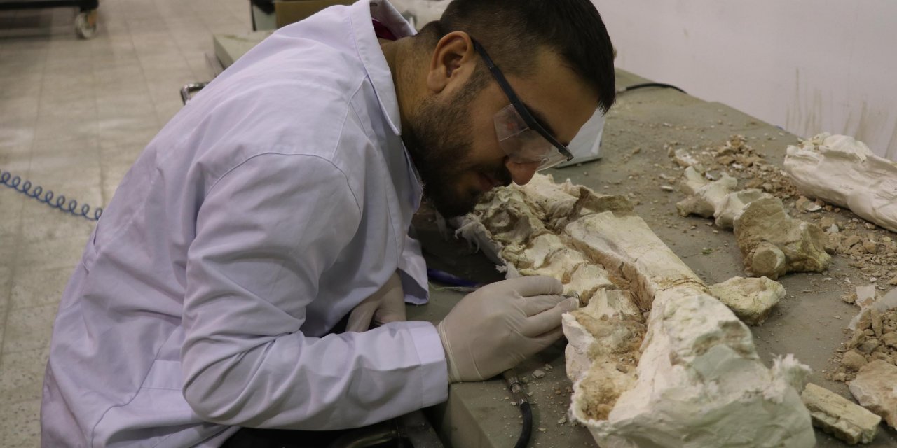 Kayseri’de 7,5 milyon yıllık bine yakın fosil bulundu