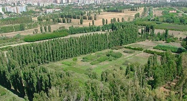 Gökçek döneminde karar alınmıştı: Atatürk Orman Çiftliği parselleri davasında gelişme