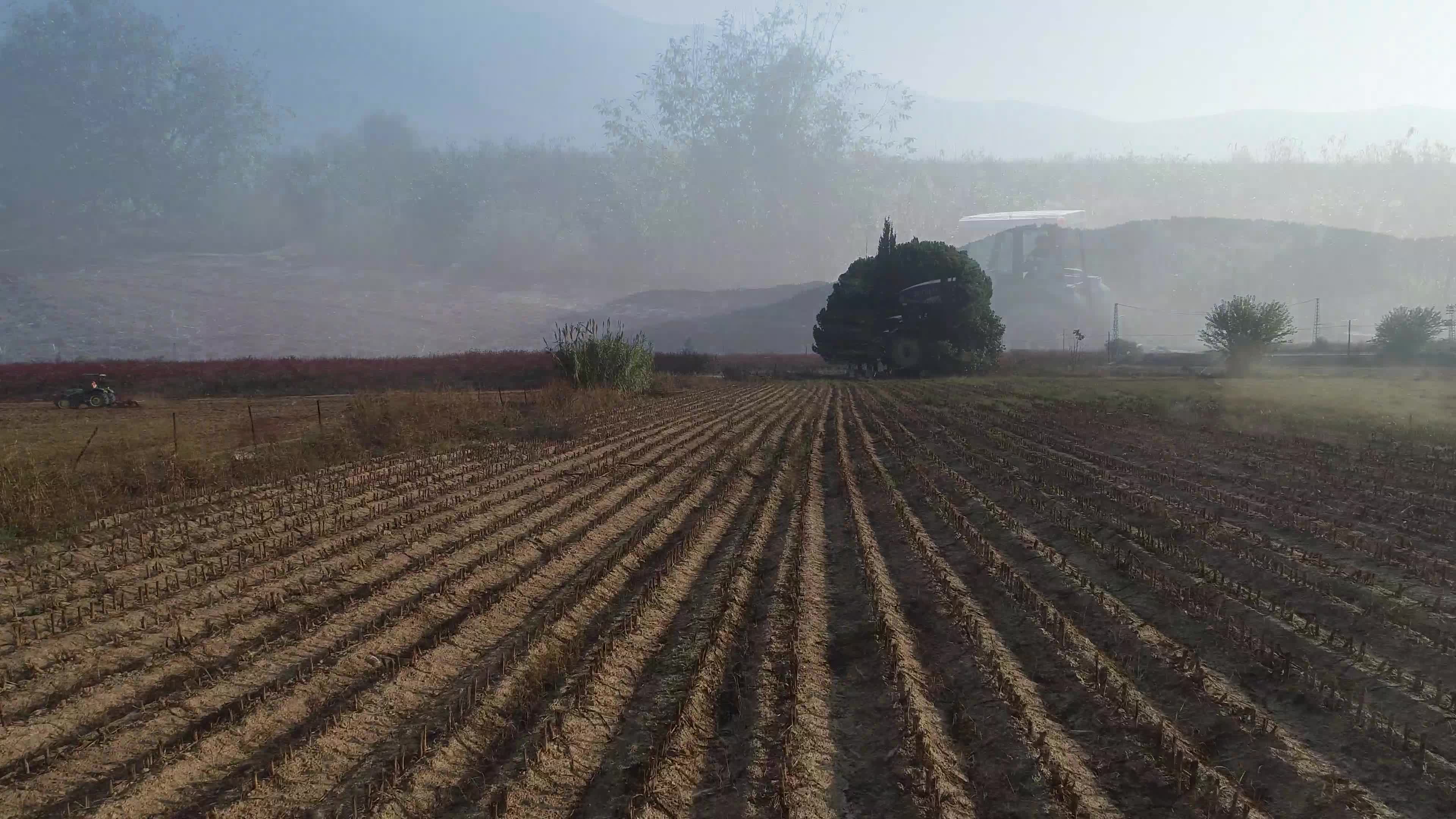 Efes Selçuk Belediyesi halka ücretsiz ekmek dağıtımına başladı