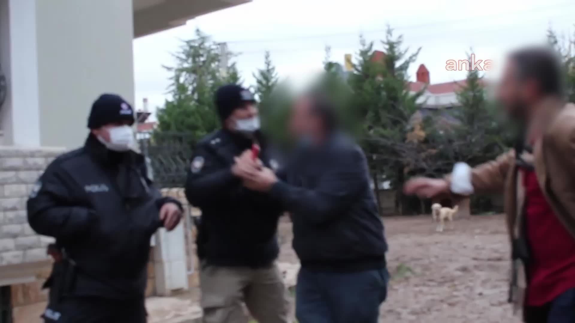 Konya'da kiralanan bir villada 14 köpeğe işkence edildi