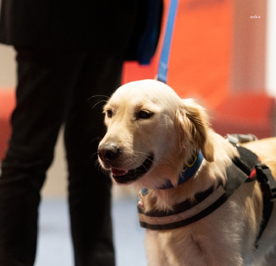 İzmir'de engelsiz yaşam için toplu ulaşıma rehber köpekler geliyor