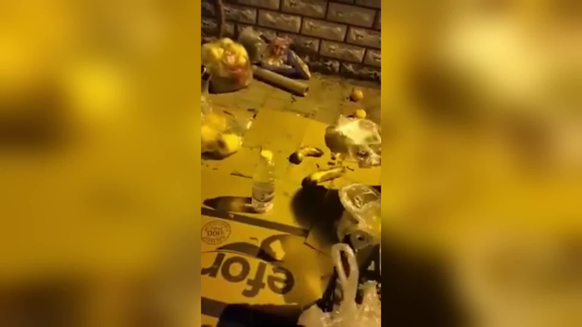 Bolu'da çocukların çöpten yiyecek topladığı görüntüler izleyenlerin yüreğini acıttı