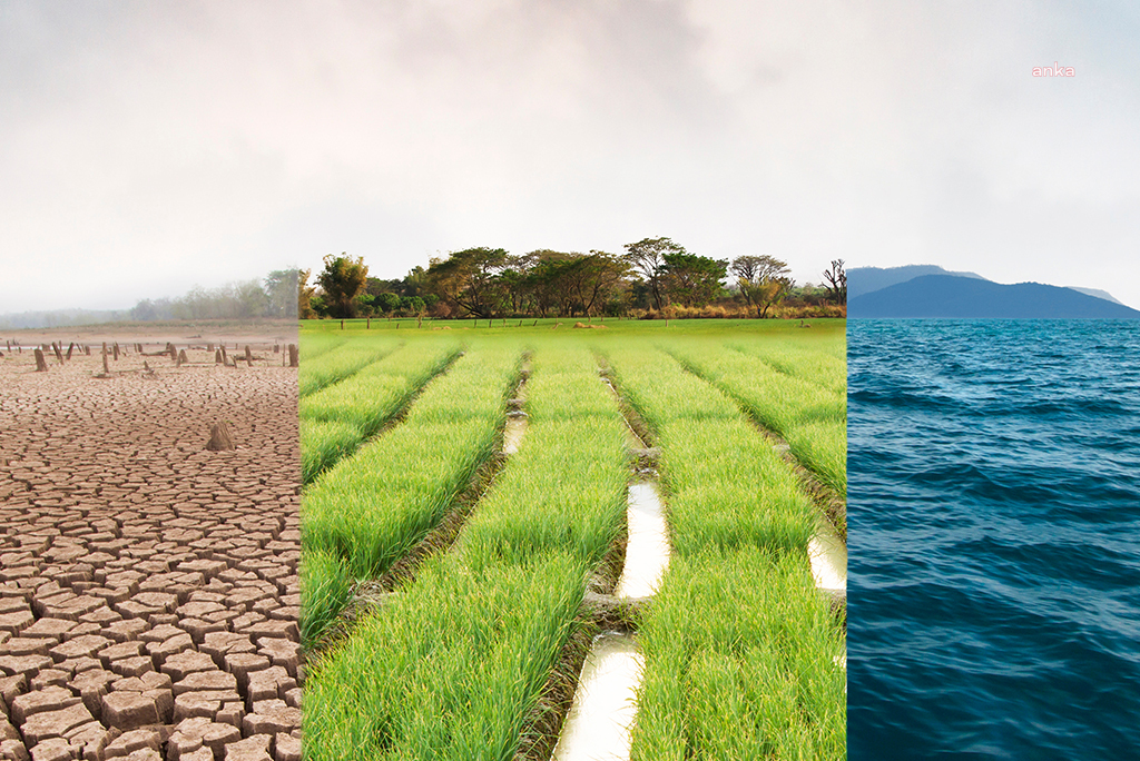 CHP'den, TBMM İklim Komisyonu Raporu'na şerh: "Kömürden vazgeç, ormanları işletme olarak görme..."