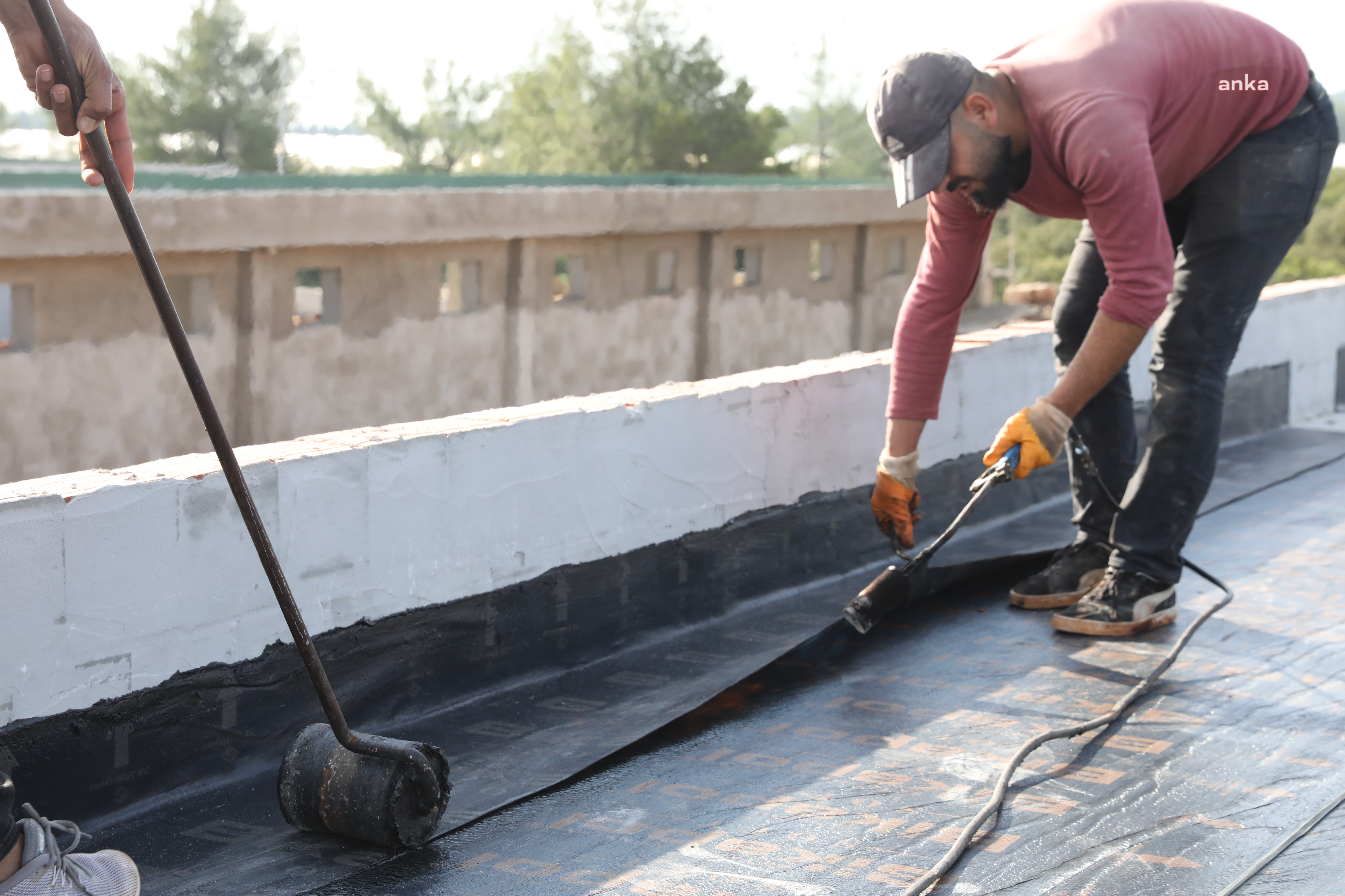 Antalya Büyükşehir'in sokak hayvanları bakım evi projesi sürüyor