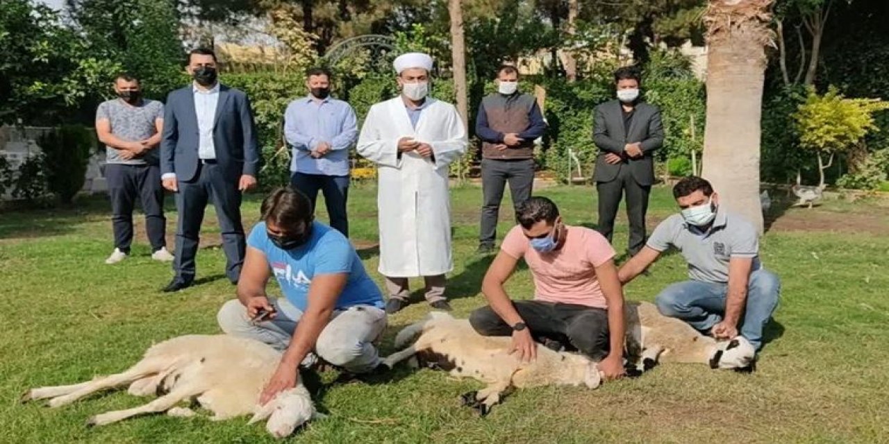 AKP'li eski başkan koronavirüse yakalanan Soylu için "şifa kurbanı" kestirdi!